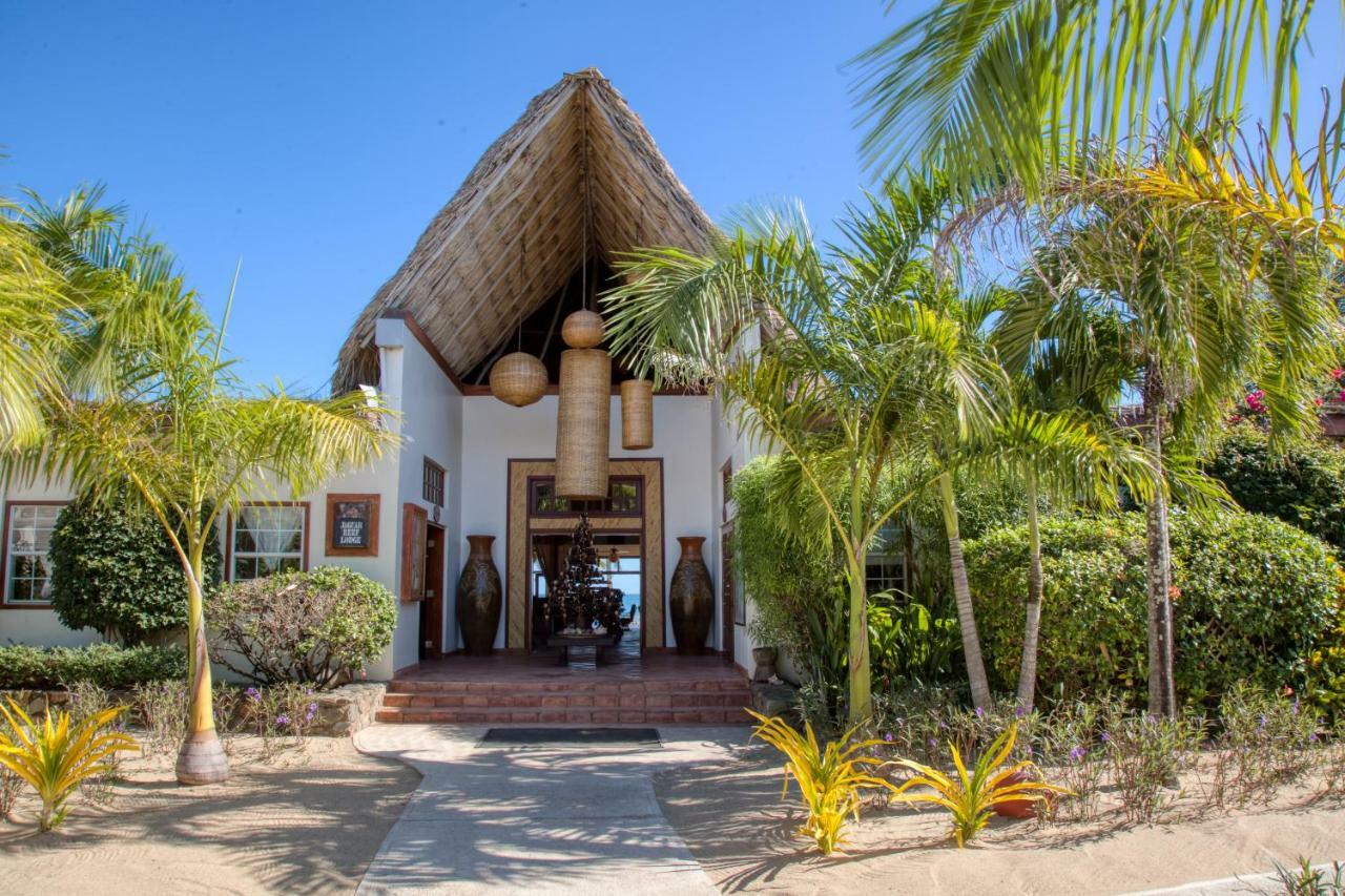 The Lodge At Jaguar Reef هوبكنز المظهر الخارجي الصورة